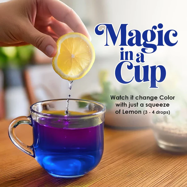 3rd_Image_1_3cd81cc8-1c71-4c12-83d3-39dd06fdaa8f